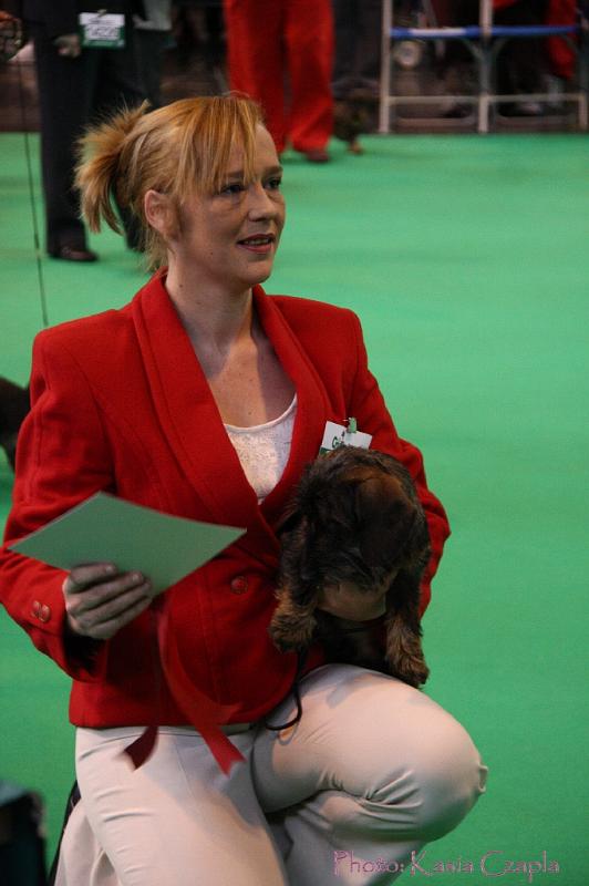 Crufts2011_2 534.jpg